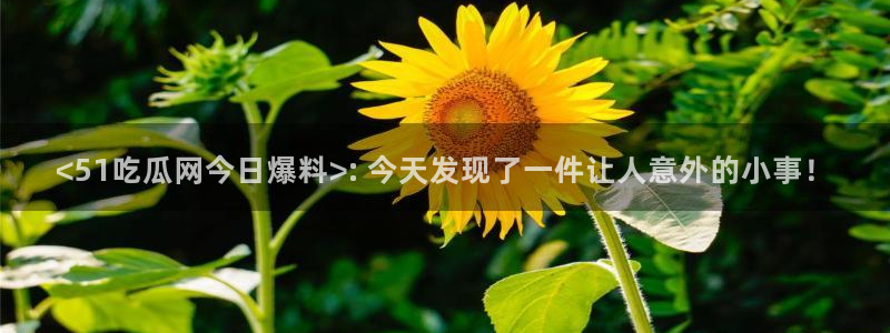 51吃瓜网热门黑料：<51吃瓜网今日爆料>: 今天发现了一件让人意外的小事！