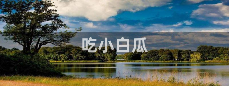 吃瓜.：吃小白瓜
