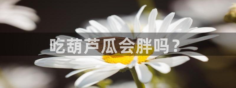 吃瓜爆料网不打烊回家：吃葫芦瓜会胖吗？