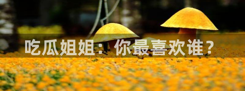 51吃瓜全网更新最快