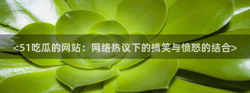 taipeinana51吃瓜：<51吃瓜的网站：网络热议下的搞笑与愤怒的结合>