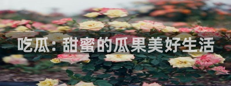 www.吃瓜：吃瓜: 甜蜜的瓜果美好生活