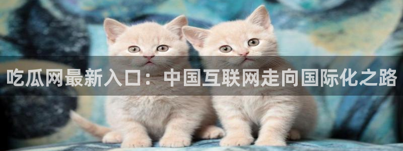 51.cgfun吃瓜：吃瓜网最新入口：中国互联网走向国际化之路