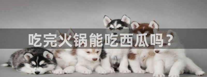 吃瓜最新