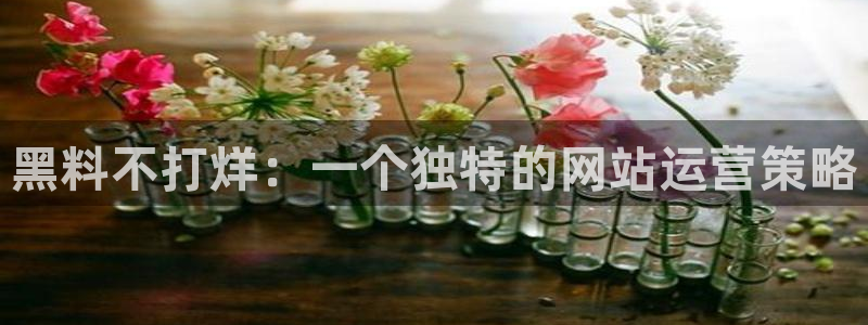 黑料揭秘：黑料不打烊：一个独特的网站运营策略