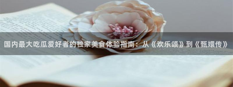吃瓜是什么意思?:国内最大吃瓜爱好者的独家美食体验指南:从《欢乐颂》到《甄嬛传》