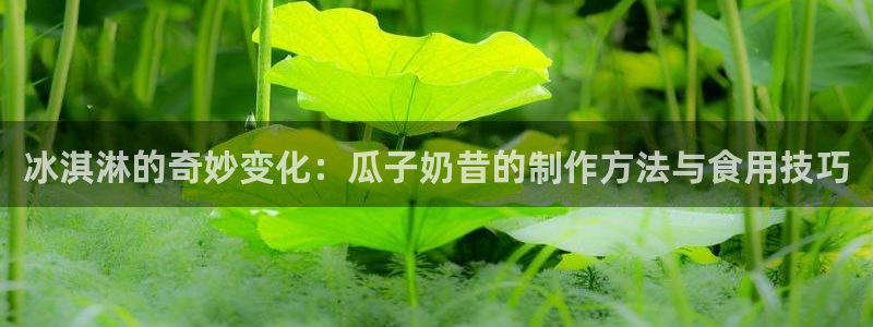 各种网红爆料吃瓜网站：冰淇淋的奇妙变化：瓜子奶昔的制作方法与食用技巧