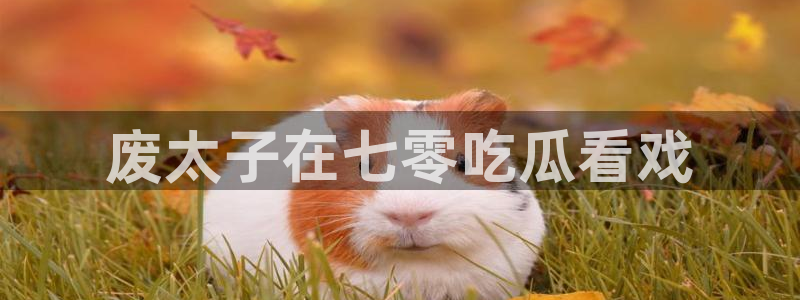 51吃瓜网今日必吃大瓜:废太子在七零吃瓜看戏